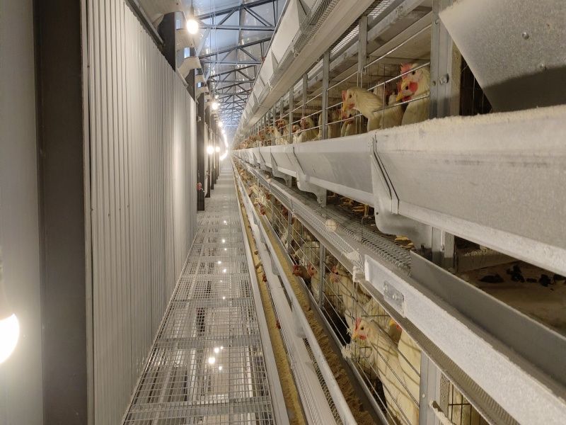 �ӯBʽ�B(y��ng)�u�O��-���u5